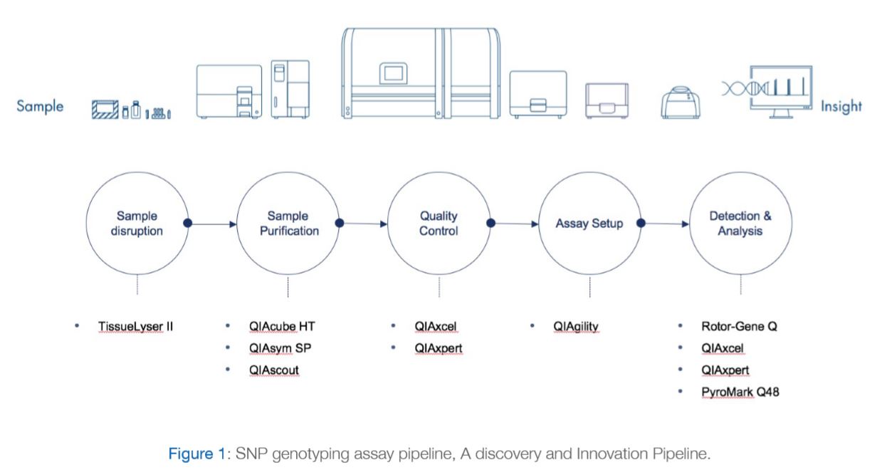 SNP Genotyping Pipeline: A Discovery And Innovation Pipeline - DDI