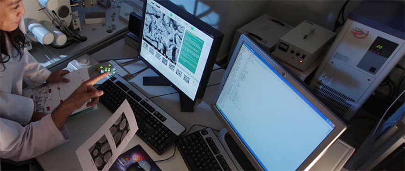 research-in-the-news