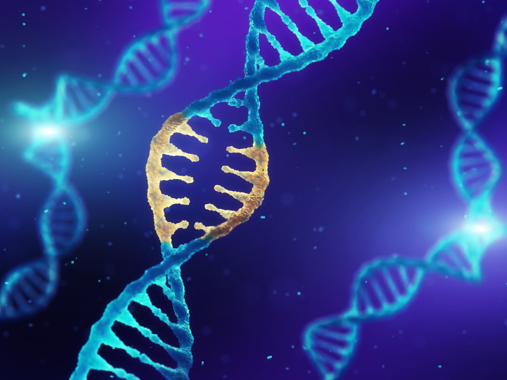 Genetic & Bioinformatics