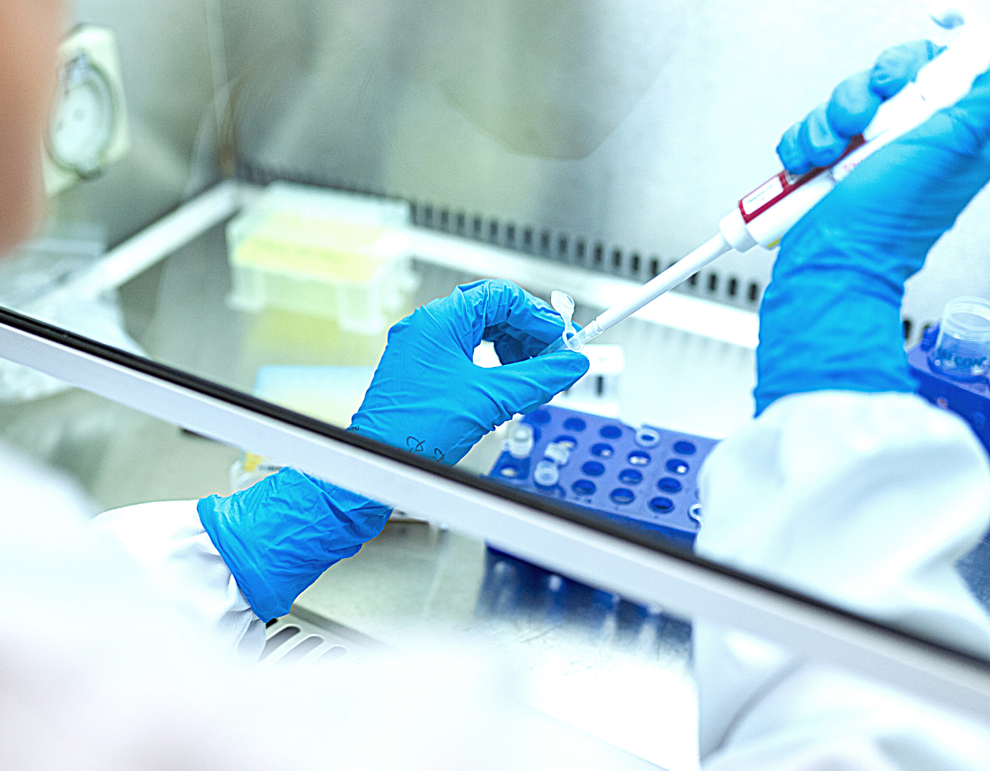 Biochemistry & Molecular Biology