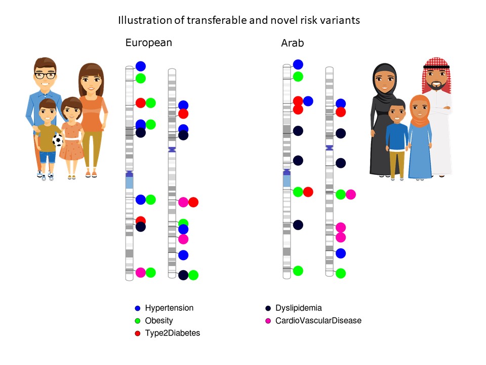 illustrations-of-european-arab-families-genetics-v2