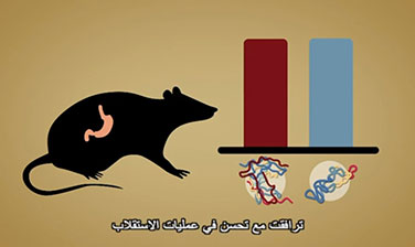 Researchers at Dasman Diabetes Institute Link Diabetes to Bone/Muscle Complications