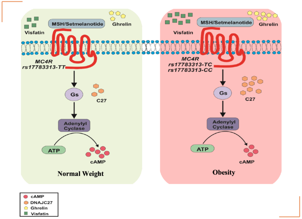 ddi-discover-a-mutation-in-kuwait-population