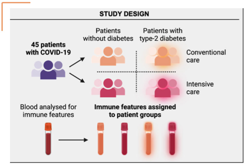 immuno-profiling-study-design