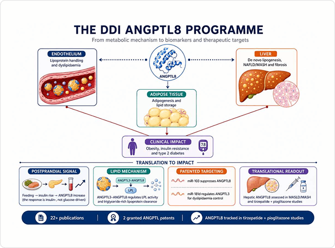 The ANGPTL8 Programme