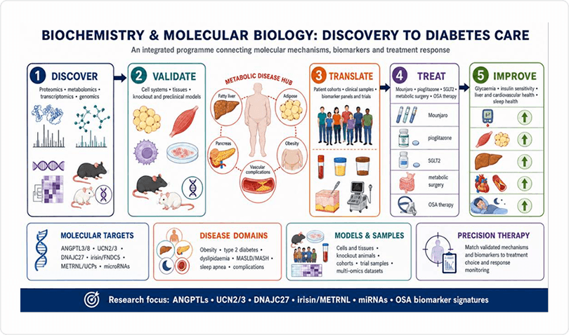 Major Research Themes