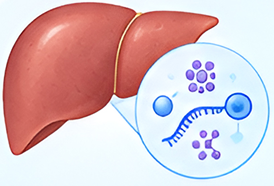 Key Health Impact